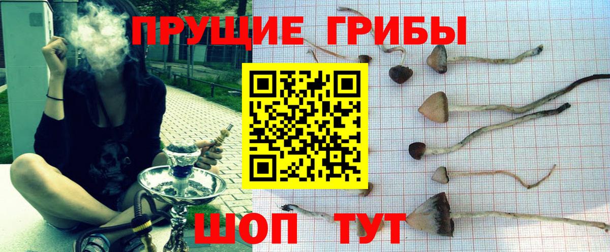 Галлюциногенные грибы GOLDEN TEACHER Орск