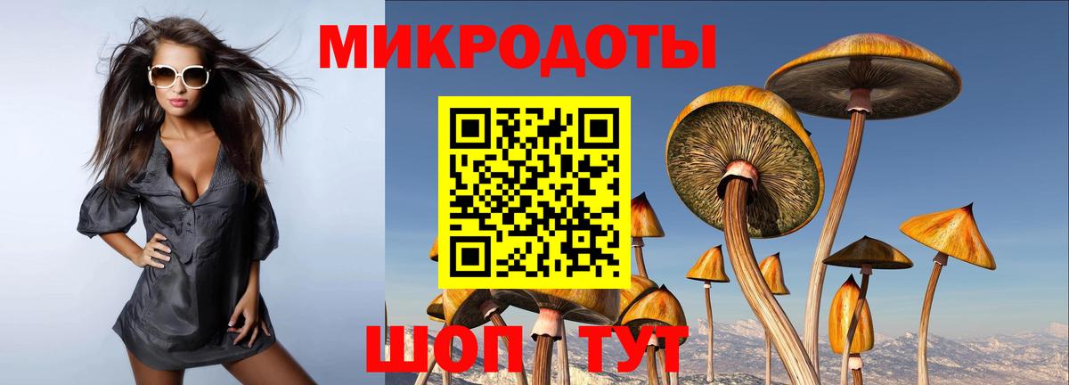 Орск  Галлюциногенные грибы Cubensis  Галлюциногенные грибы Cubensis  Вход с VPN 